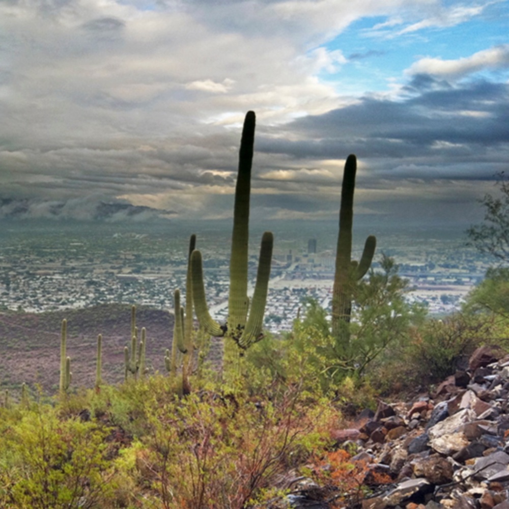 👉ALL REASONABLE OFFERS ACCEPTED